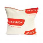 Green Boom Oil Only Small Absorbent Pillows (Pack of 10) P1010S GBM33201