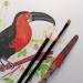 Clairefontaine Paint On Pad 250gsm Paper 40 Sheets A3 96536C GH00813