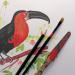 Clairefontaine Paint On Pad 250gsm Paper 40 Sheets A4 96537C GH00815