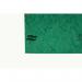 Exacompta Europa Spiral Files Foolscap Green (Pack of 25) 3003 GH03003