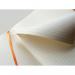 Clairefontaine Rhodiarama Notebook 80 Lined Pages A4+ Silver Cover 117701C GH17701