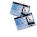 Rexel 2101948 Shredder Lubricant Sheets 12pk 18635J