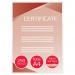 GBC IB586040 A4 2 x 250 Micron Gloss Laminating Pouches Pack of 100 30759J