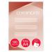 GBC 41666E A4 Peel n Stick Gloss Pouch 100 Micron 100Pk 33545J