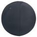 Leitz Ergo Active Sitting Ball 55cm Dark Grey 34038J