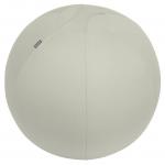 Leitz Ergo Active Sitting Ball 65cm Light Grey 34039J