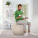 Leitz Ergo Active Sitting Ball 65cm Light Grey 34039J