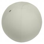 Leitz Ergo Active Sitting Ball 75cm Light Grey 34041J