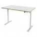 Leitz Ergo Compact Electric Sit Standing Desk 140 x 80cm 36295J