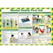 Mental Health First Aid Poster A2 Laminated 36455J