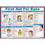 First Aid for Eyes Poster A2 Laminated 36460J