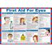 First Aid for Eyes Poster A2 Laminated 36460J