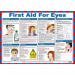 First Aid for Eyes Poster A2 Laminated 36460J