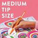 Papermate Flair Original Felt Tip Pens Assorted (Pack of 16) 2061394 GL97745