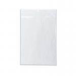 Minigrip Re-sealable Bag 229x324mm Clear (Pack of 1000) 53005 GP01151