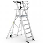 Large Platform Folding Steps with Safety Gates - 6 Tread CAG306
