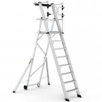 Large Platform Folding Steps with Safety Gates - 8 Tread CAG308