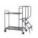 Stepped Picking Trolley, 2 Tier, 3 Step, 800 x 500 Timber PAOP203Y