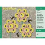 Broadbent Maths Y5-Y6 Games Pack