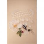 Circular Transparent Containers, Polystyrene 150mL 65 x 55