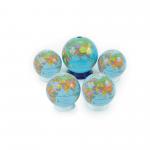 Classroom Globe Pack
