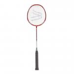 Davies Power Badminton Racket