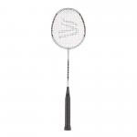 Davies Pegasus Badminton Racket