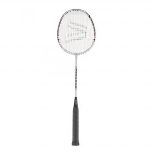 Image of Davies Pegasus Badminton Racket