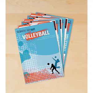 Image of Into To Volleyball