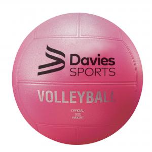 Image of Vinyl Non-sting Volleyball