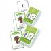 Phase 4 Letters and Sounds Chute Cards