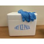 Primary Dry Ice Pack
