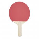 Reversed Table Tennis Bat