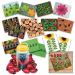 Lady Bugs Counting Kit