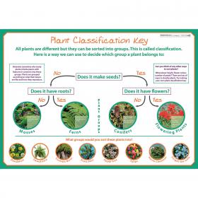 Classifying Plants Poster