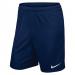 Nike Park Shorts 23 24in Nvat Navy