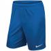 Nike Park Shorts 24 25in Nvat Royal Blue