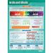 The picture shows a vibrant school stationery poster featuring colorful illustrations of acids and alkalis, with labels and brightly colored test tubes. The poster is designed to educate students about these chemical substances in a fun and visual way.