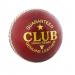 Readers Club Cricket Ball Senior