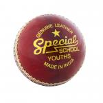 Readers Special School Cricket Ball Jun
