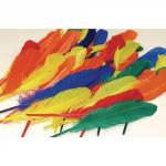 Rainbow Duck Quill Feathers 28g Pack