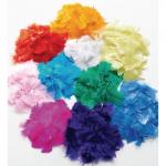 Solid Colour Feather 10 Packs of 10 Colours