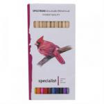 Spectrum Colouring Pencils Set12 Asrtd