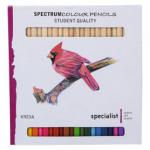Spectrum Colouring Pencils Set24 Asrtd