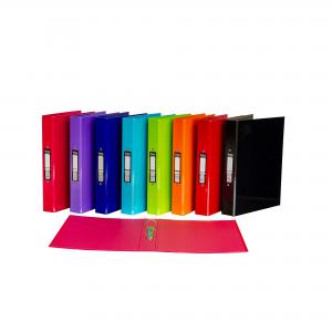 Pukka Ringbinder Files Assorted P10