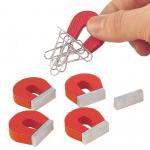 Small Horseshoe Magnets Pack 5