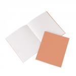 Orange 203 x 165mm Notebook 48-Page, 8mm Ruled Pack of 100