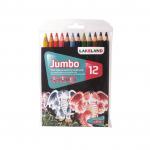 Lakeland Jumbo Pencils 12 Colour