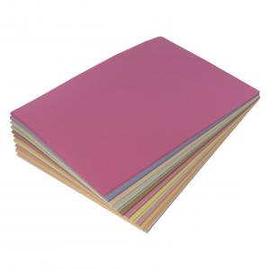 Sugar Paper 100gsm A1 Assorted PK250