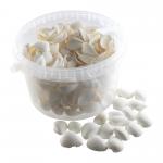 White Shells 2.5L Tub